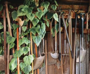 les outils de jardinage