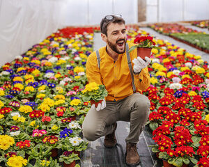 le meilleur jardinier