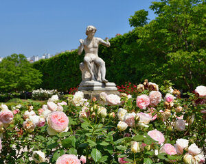 Les jardins zen de Paris