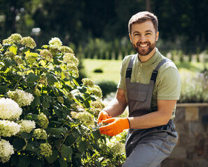 jardinier professionnel