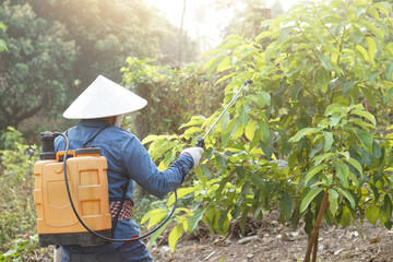 Comment devenir jardinier à Paris : étapes et compétences requises