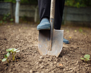 Les outils de jardinage