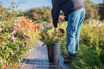 bonnes plantes