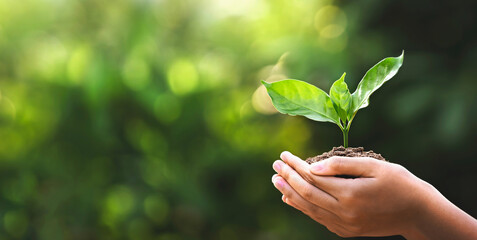 un jardin écologique