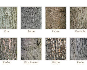 types de bois