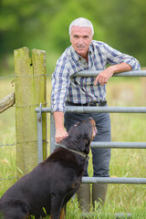 gestion des risques dans le métier de maître chien