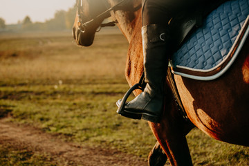Les formations continues pour les moniteurs d’équitation à Paris