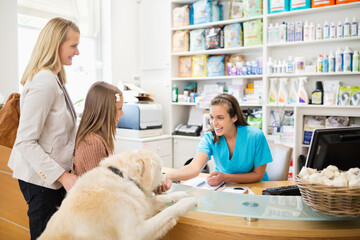 dentisterie équine