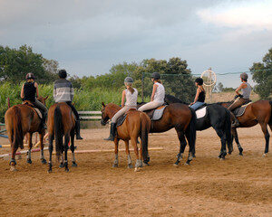 cours avec un moniteur d'équitation