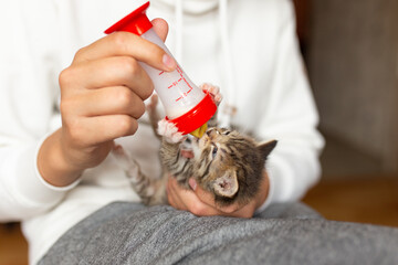 Éleveur d'animaux de compagnie