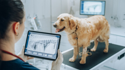 Les technologies de pointe utilisées dans les cliniques vétérinaires parisiennes