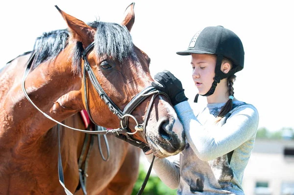 enseignement de l'équitation