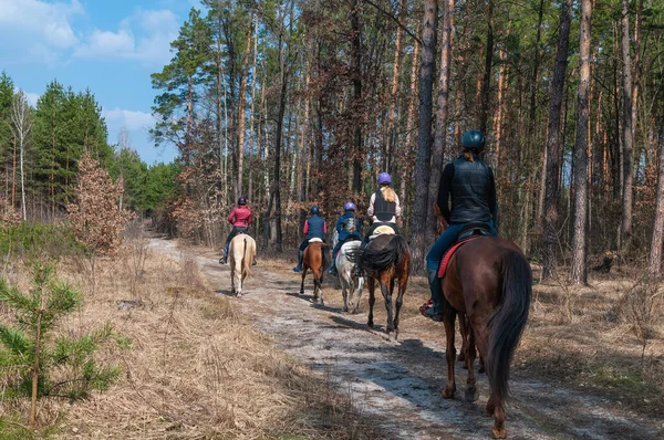 évolution du métier de moniteur d'équitation