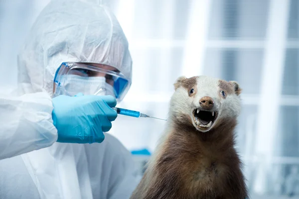 demande croissante de techniciens en animalerie