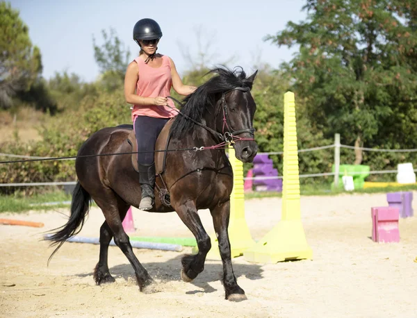 pour devenir moniteur d'équitation