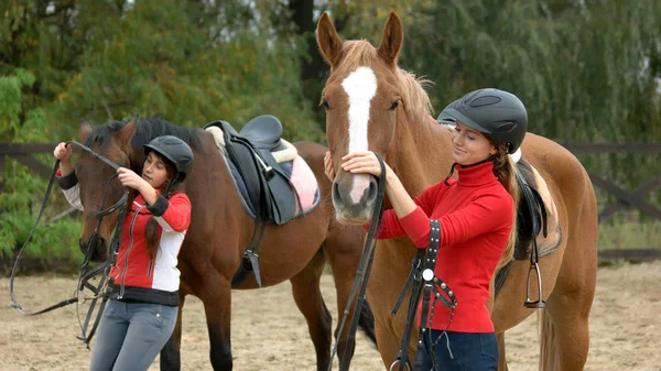 vie d'un moniteur d'équitation