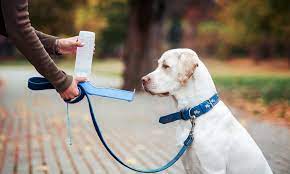  Dresseur de chiens 