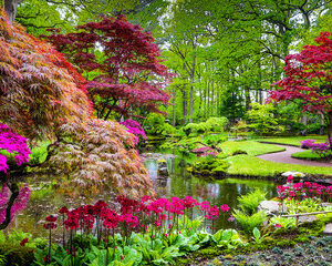 jardin japonais 