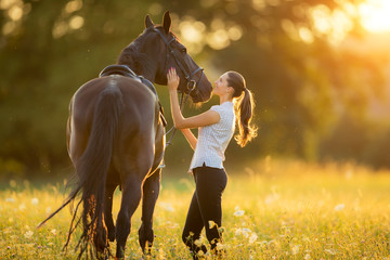 au service des chevaux