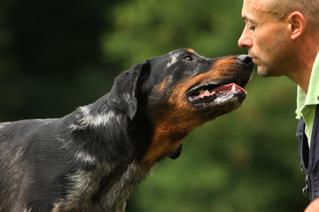 L’importance du comportementaliste animalier dans la relation homme-animal à Paris