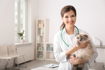 douleur chez les animaux