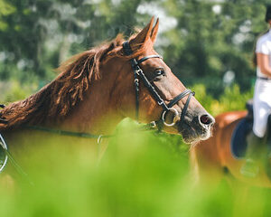 rencontre