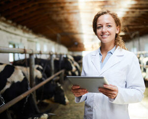 techniciens en santé animale