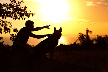 évolution du dressage canin