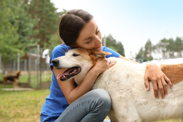 les animaux abandonnés