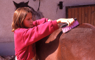 passion équestre