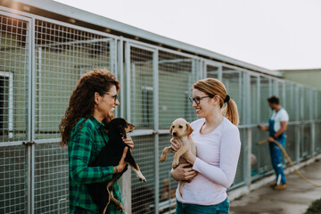 défis logistiques des agents animaliers