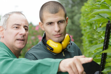 aménagement de votre jardin