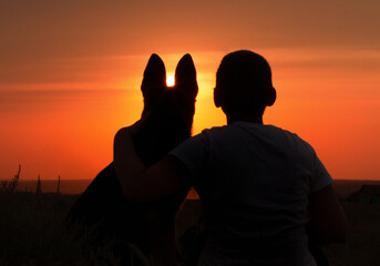 chiens talentueux