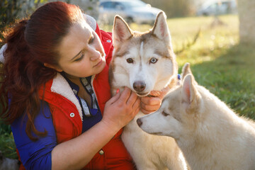 Le dressage canin