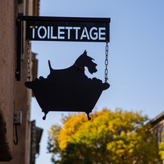 lieu du toilettage équin