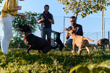 formation des dresseurs de chiens