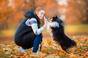 dresseurs de chiens