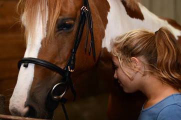 toiletteuse pour chevaux