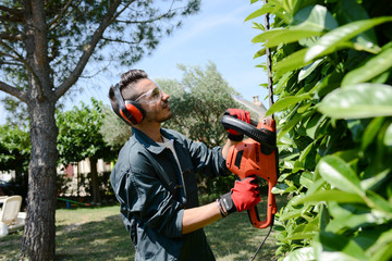 jardin bien entretenu