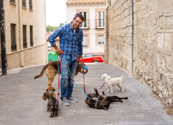 du métier de garde d'animaux de compagnie