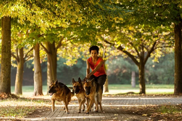 métier de garde d'animaux de compagnie