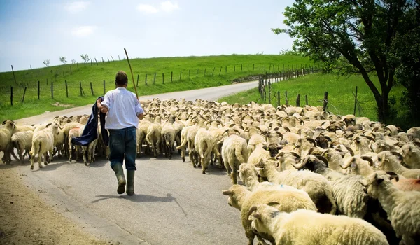 bienfaits environnementaux