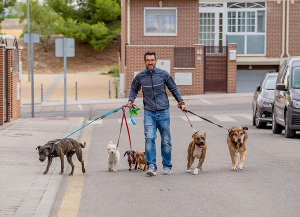 choisir un service de garde d'animaux