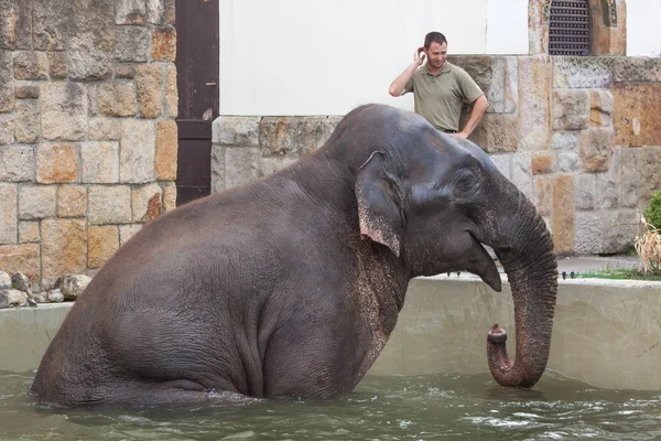 gardiens de zoo et les animaux