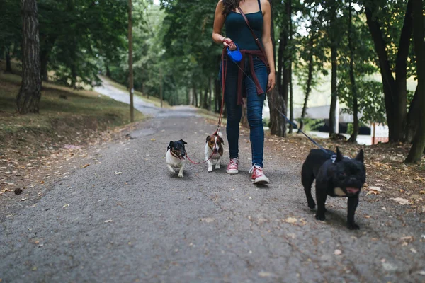 bon gardien d'animaux de compagnie