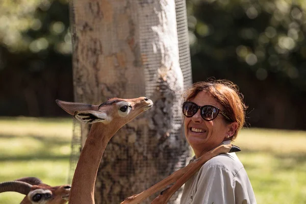 diversité des animaux du zoo