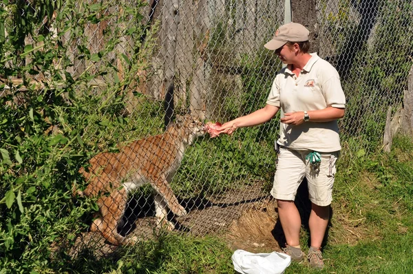 passionnés par les animaux