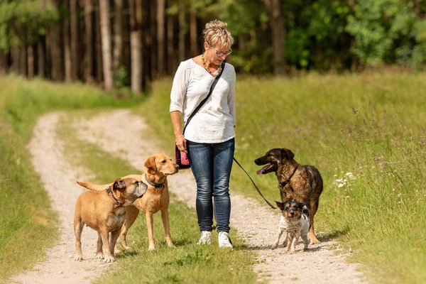 professionnel de la garde d'animaux