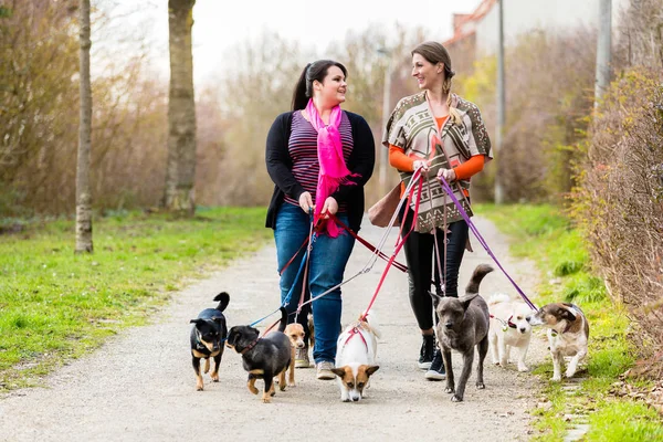 métier de garde d'animaux