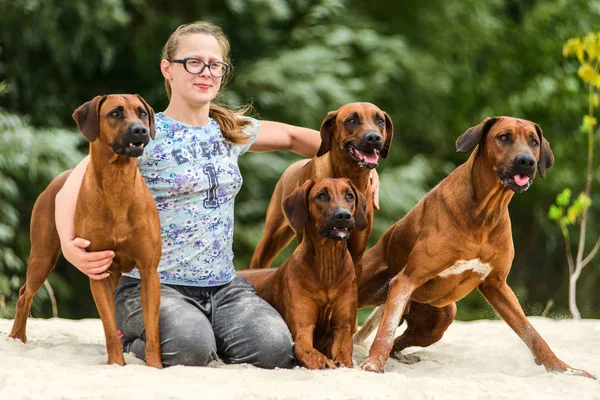 responsabilités d'un gardien d'animaux de compagnie